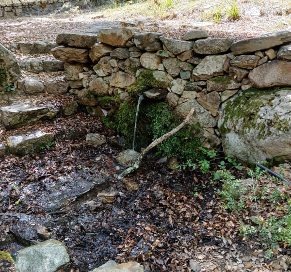Sentier patrimonial Pioggiola, autour de Forcili - Pioggiola - 1