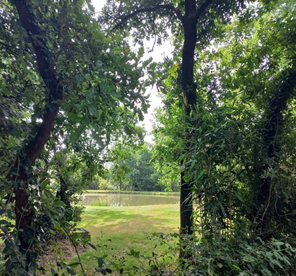 Circuit des Ecobuts - Aigrefeuille-sur-Maine - 1