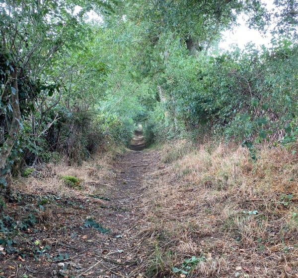 Promenade à Saint-Silvain-Bellegarde - Saint-Silvain-Bellegarde - 1