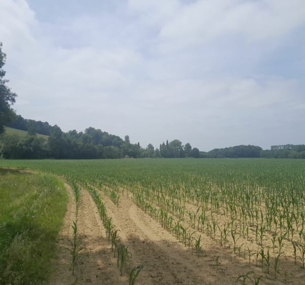 Autour du Luy - Lacrabe - 1