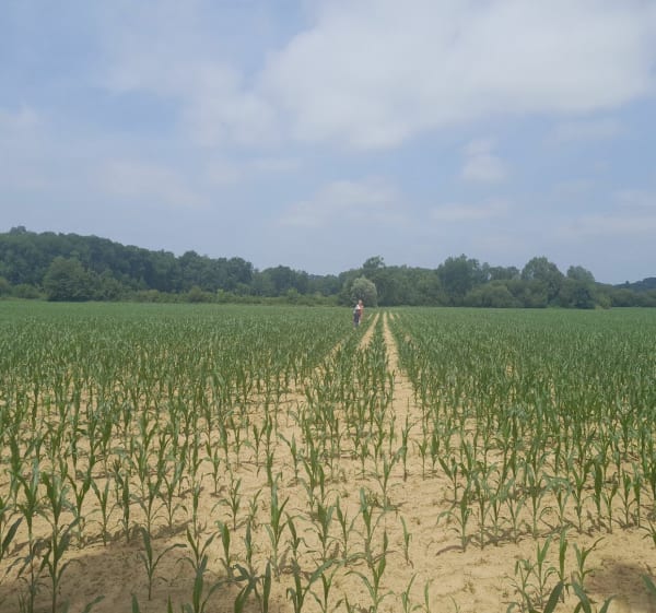 Autour du Luy - Jerome - 1