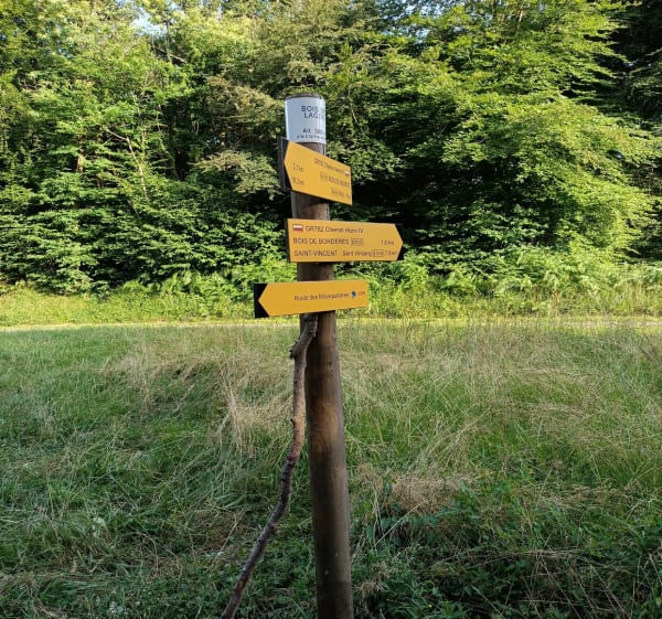 Bois de Lagos - Marie claire - 1