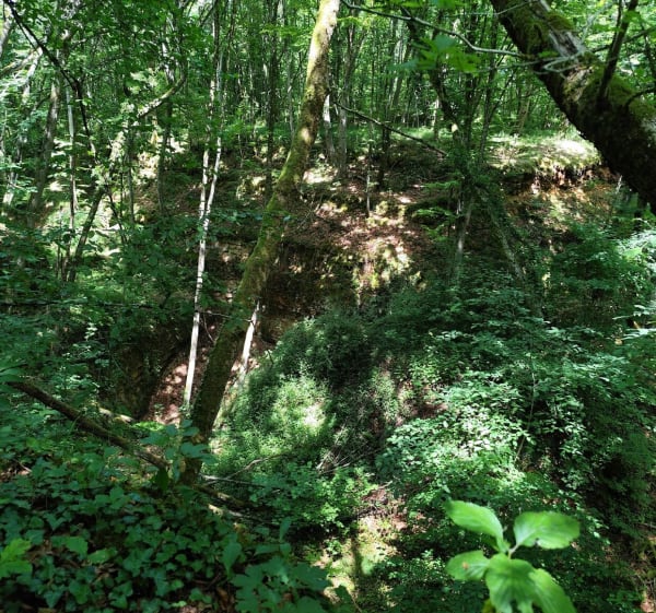 Ouvrage du bois de la Dame - Ars-sur-Moselle - 1