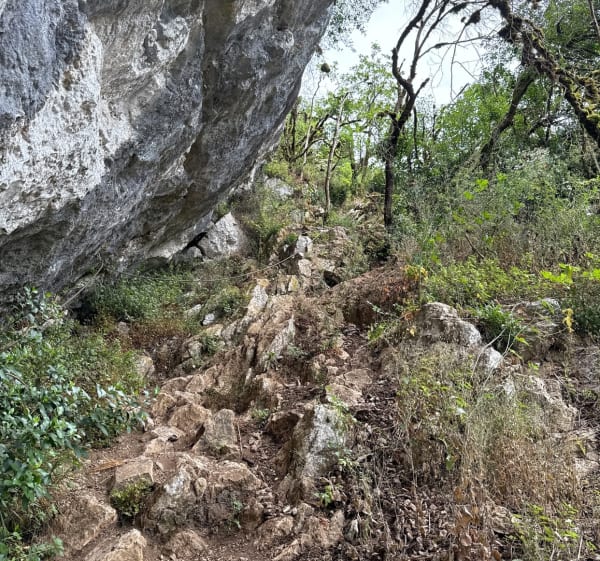 Cirque de Bône - Saint-Antonin-Noble-Val - 1