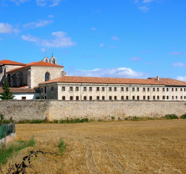 Randonnée à Medina de Pomar : Découverte du patrimoine et des sentiers - Medina de Pomar - 1