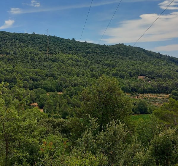 Balade autour de Le Luc-en-Provence - Le Luc - 1