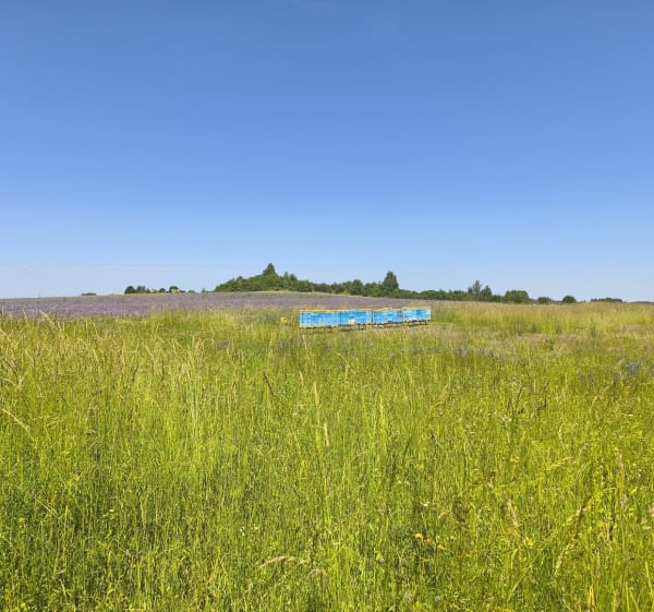 Częstochowa, Biskupice, Czatachowa, Dębowiec, Częstochowa - Częstochowa - 1