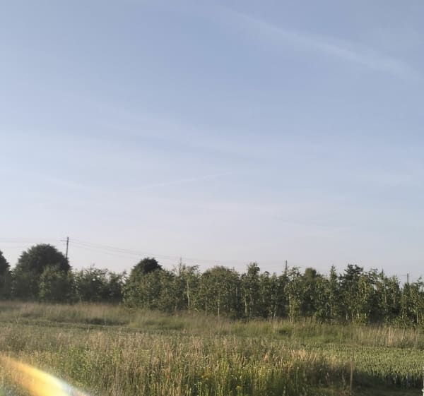 Zwykła przejażdżka rowerowa - Moczkowo - 1