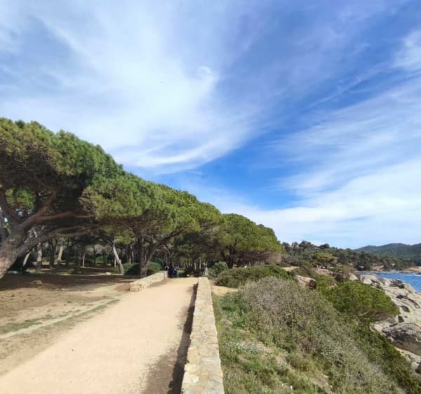 Randonnée à Palamós : Exploration Nature et Histoire au Départ de Sant Joan - Palamós - 1