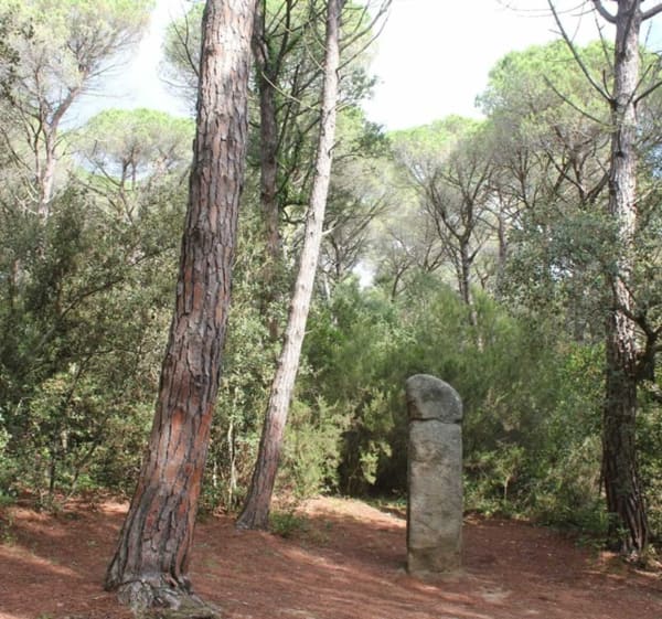 Randonnée à Santa Cristina d'Aro : Découverte du Dolmen de la Cova d'en Daina - Romanyà de la Selva - 1