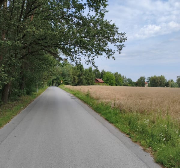 Trasa objazdowa wzniesienia łódzkie - Andrespol - 1