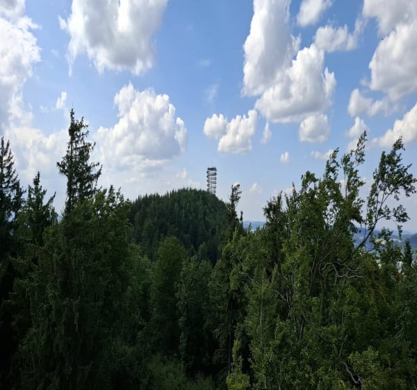 Wieza widokowa na Dzikowcu - Boguszów-Gorce - 1