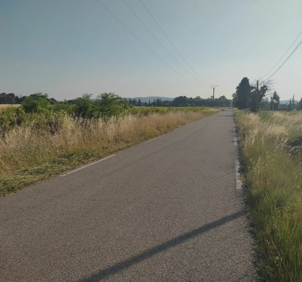 Lavande - vignes - Ventoux et dentelles de Montmirail - Orange - 1
