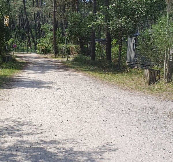 Balade à pieds ou vélo depuis Soustons - Alain - 1