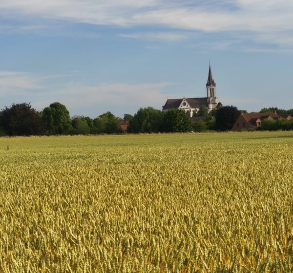 Parcours vélo et une petite partie à pied à Péronne en Méantois - Péronne-en-Mélantois - 1