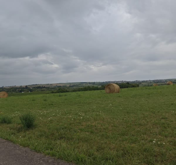 Belle promenade entre plusieurs villages depuis Woustviller - Woustviller - 1