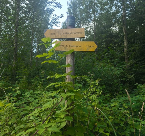 Vallée de Chausson et la Roche - Vrigne aux Bois - 1