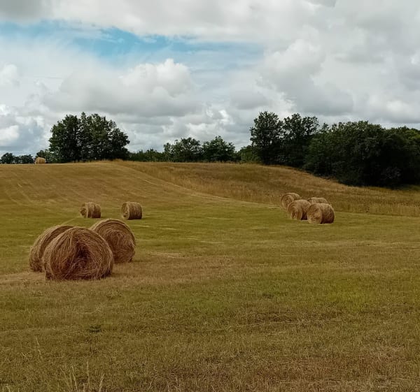 Balade a Villesèque et Sabatier - Villesèque - 1