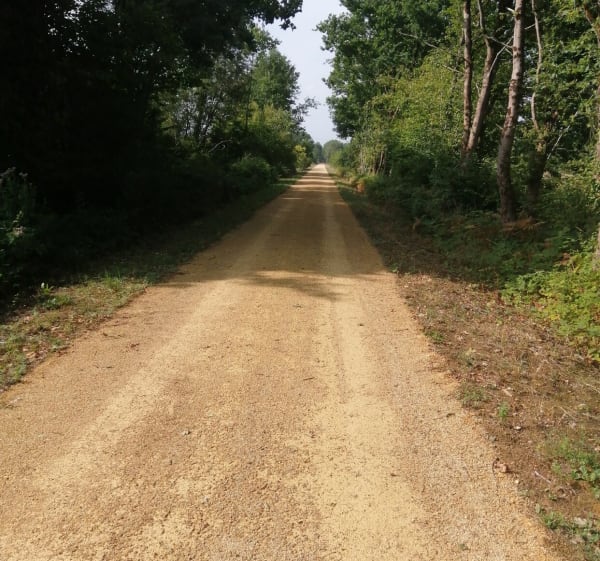 Tour de Mézeray fleurtant avec les communes voisines - Mézeray - 1