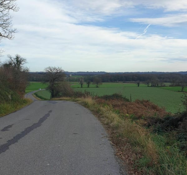 Tour complet d'Arzacq par chemins - Vignes - 1