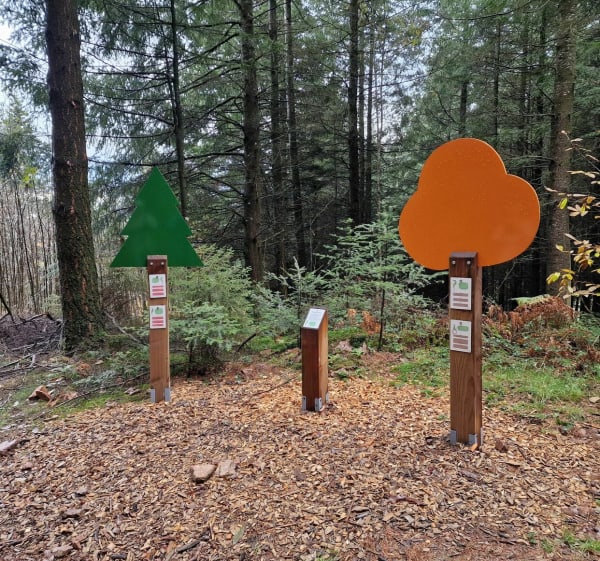 Sentier chlorophylle de Ranchal - Ranchal - 1