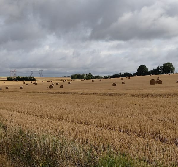 Balade autour de Courdimanche et Menucourt - Courdimanche - 1
