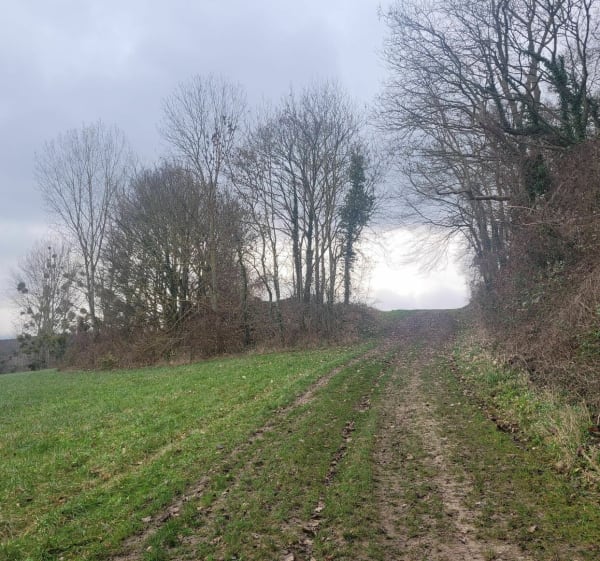 Plateau d'Arnouville et Côteaux de Breuil - Arnouville-lès-Mantes - 1