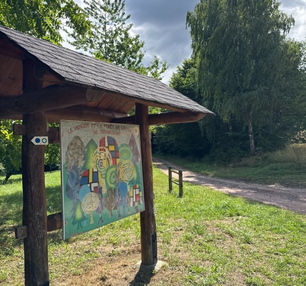 Balade entre lac de Bouzey, forêt et champs - Chaumousey - 1