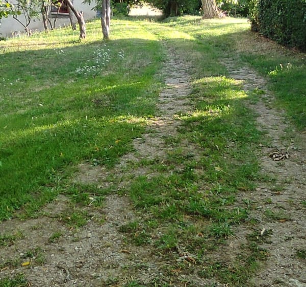 Marche Dynamique au château de Veauce - Bellenaves - 1