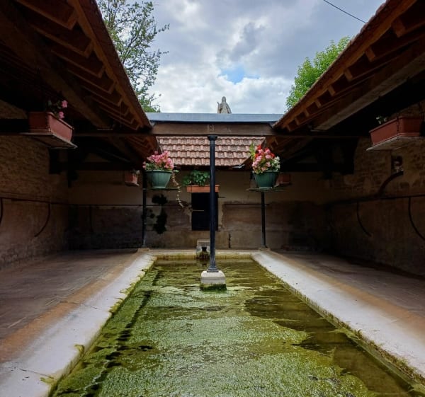 Chitry, village de vignerons - Chitry - 1