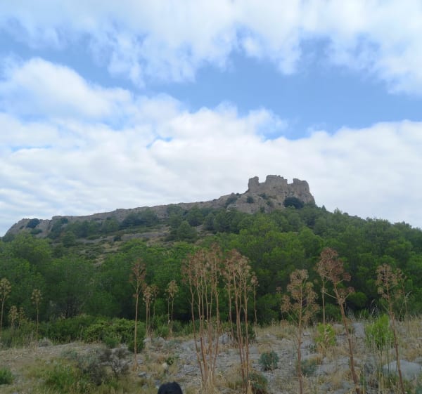 Autour du château d'Opoul et vue sur la plaine du Roussillon - Opoul-Périllos - 1