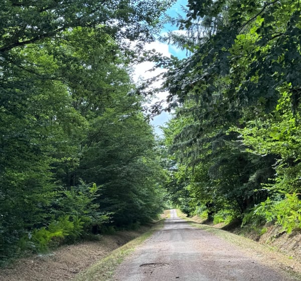 Boucle du bois de Brénil - Saulieu - 1