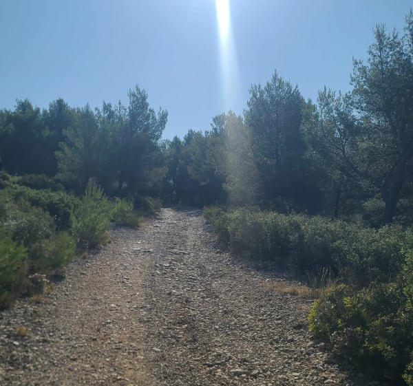 Ceyreste, chemin des Ecureuils et chemin d'Aubagne - Sullivan - 1
