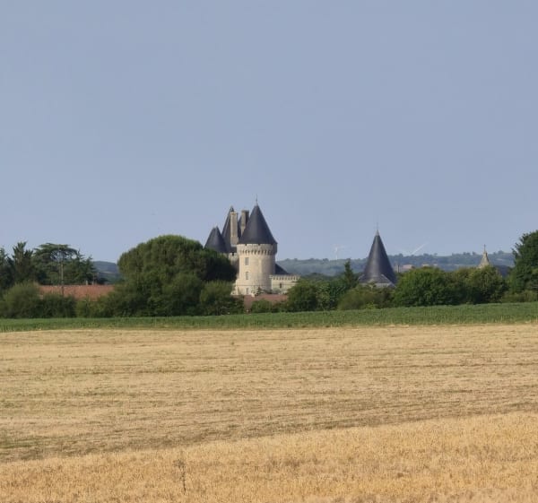 Boucle de Villegats, Lonnes, Verteuil et Ruffec - Skullmad16 - 1