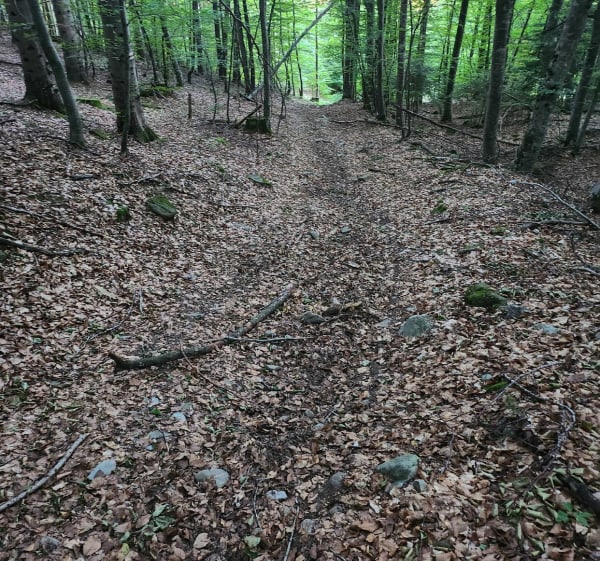 Chabottes entre forêt et village - Chabottes - 1