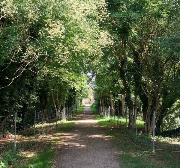 Balade au départ des Florelites - Saint-Fargeau-Ponthierry - 1