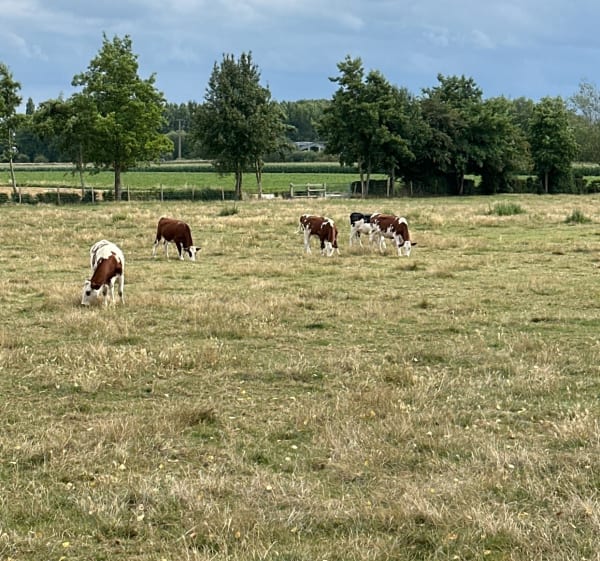 Au alentour de Wattignies - Wattignies - 1