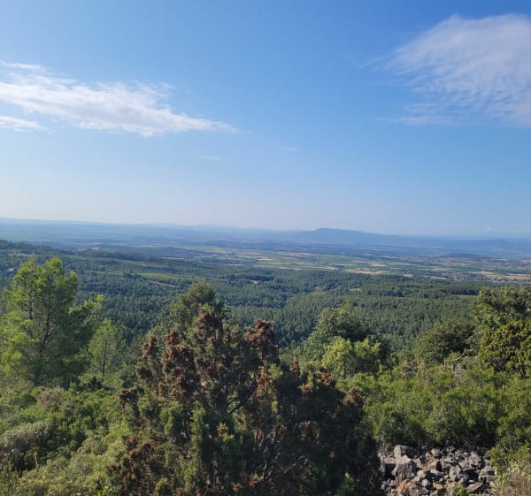 Boucle de la Bouriette et carrière de marbre - Caunes-Minervois - 1