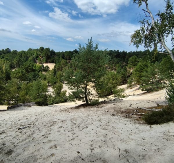 Boucle carrière De Pierre De Sault - Poligny - 1