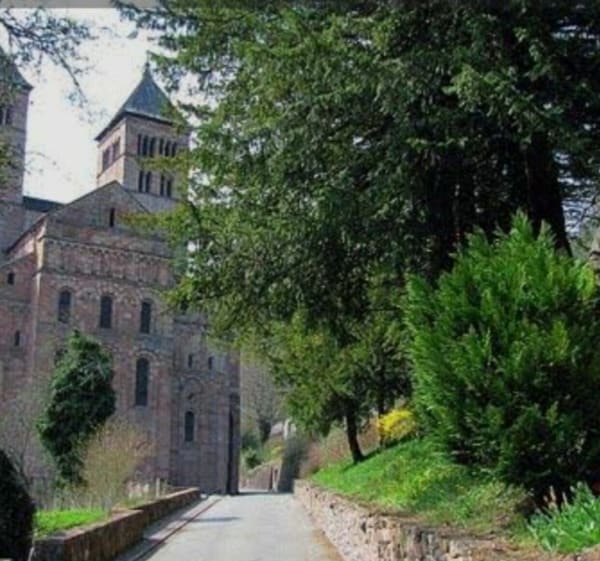 Boucle de Wegscheid par Bourbach-le-Haut - Wegscheid - 1