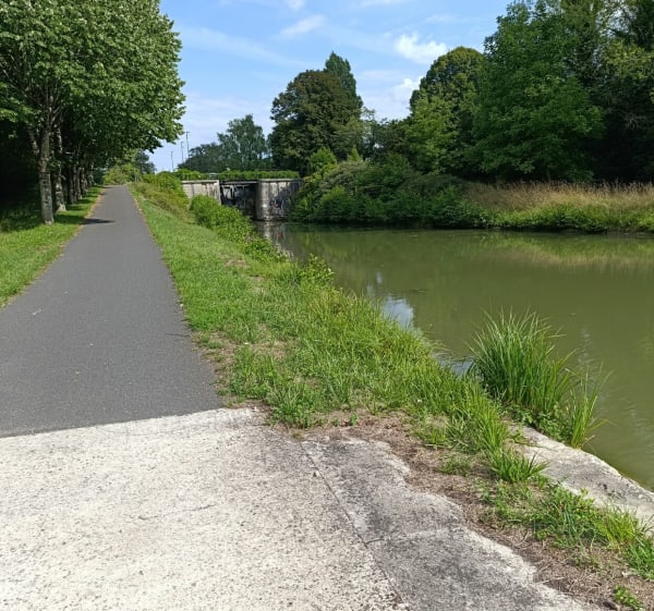 Une balade à vélo autour de Pressigny-les-Pins - Pressigny-les-Pins - 1