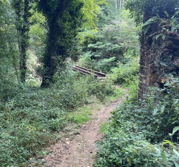 Chemin des Frères en Aveyron à Sauveterre - Sauveterre-de-Rouergue - 1