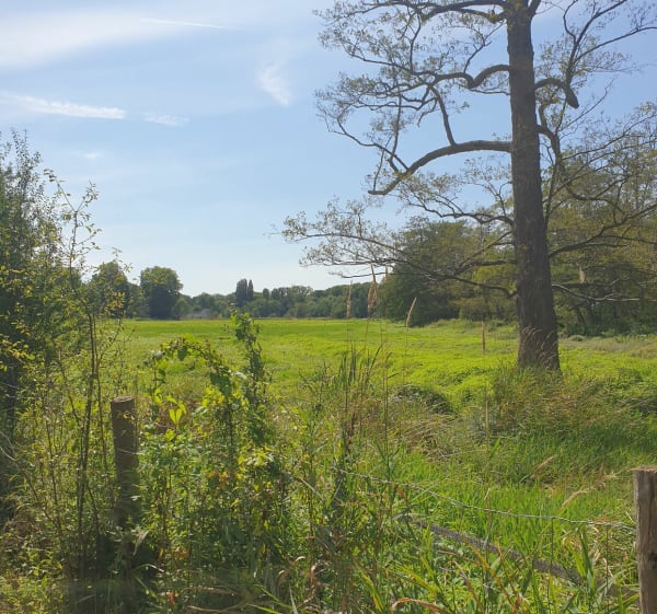 Promenade au départ de Valence Jarcy - Varennes-Jarcy - 1