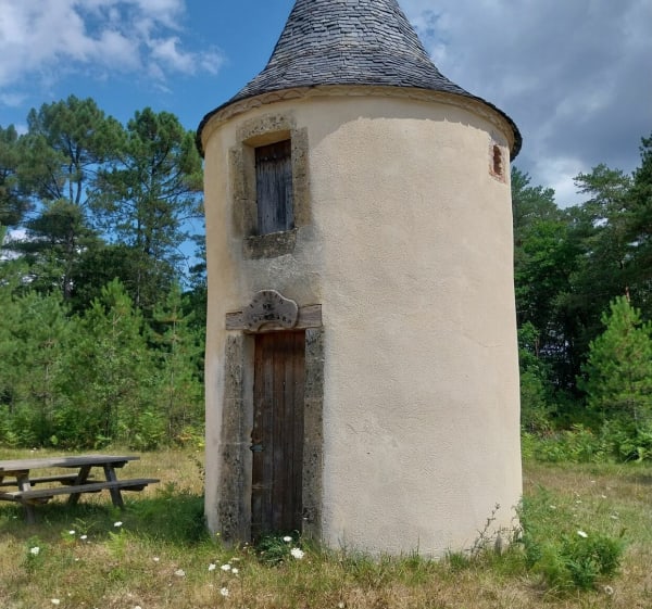 Balade au milieu de la nature - Bassillac et Auberoche - 1