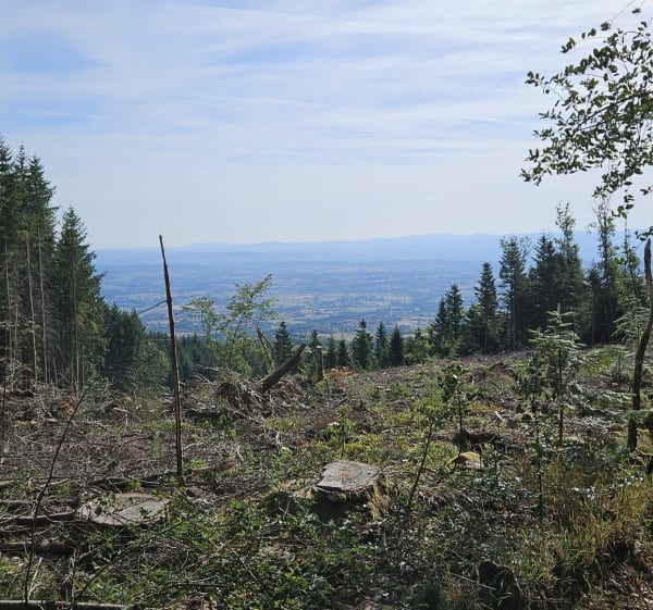 Balade près de la croix du sud autour du col de la charmette - Saint-Rirand - 1