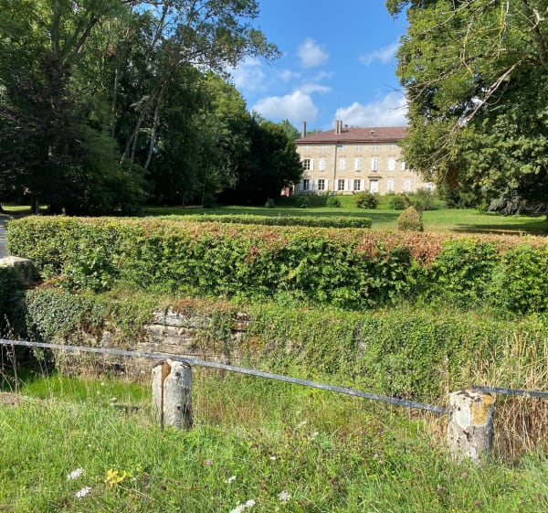 Le long de la Saône - Saint-Julien-sur-Veyle - 1