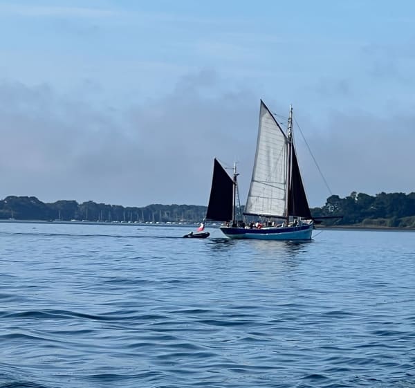 Petite boucle sur l’île d’Arz - Herve - 1