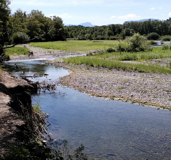 Sentier des castors - Eurre - 1