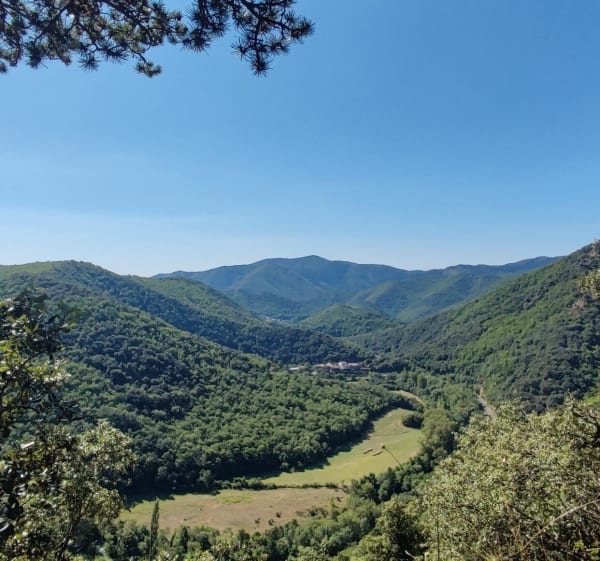 Sommet de Peyreguille, Avène. - Avène - 1