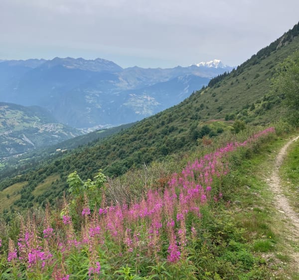 Tour de la Tarentaise par le col du Gollet - Les Avanchers-Valmorel - 1